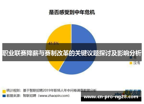 职业联赛降薪与赛制改革的关键议题探讨及影响分析