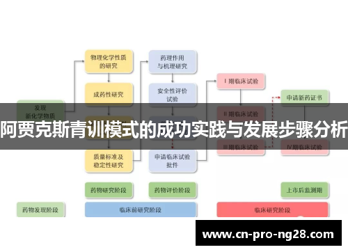 阿贾克斯青训模式的成功实践与发展步骤分析