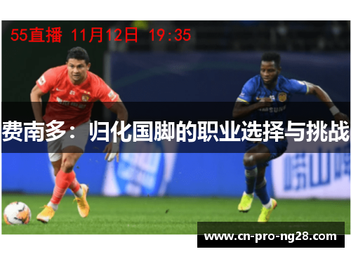 费南多：归化国脚的职业选择与挑战
