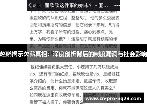 赵鹏揭示欠薪真相：深度剖析背后的制度漏洞与社会影响