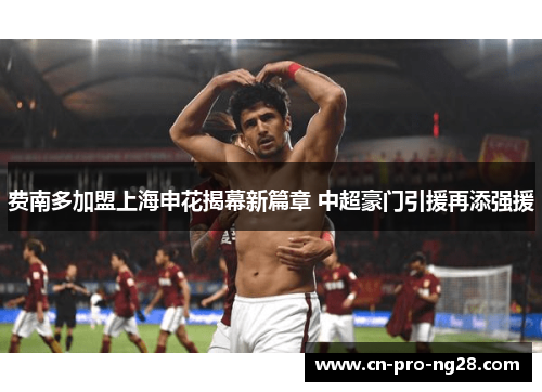 费南多加盟上海申花揭幕新篇章 中超豪门引援再添强援