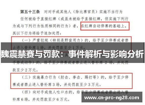 魏震禁赛与罚款：事件解析与影响分析